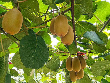 开云电竞平台基地展示题四